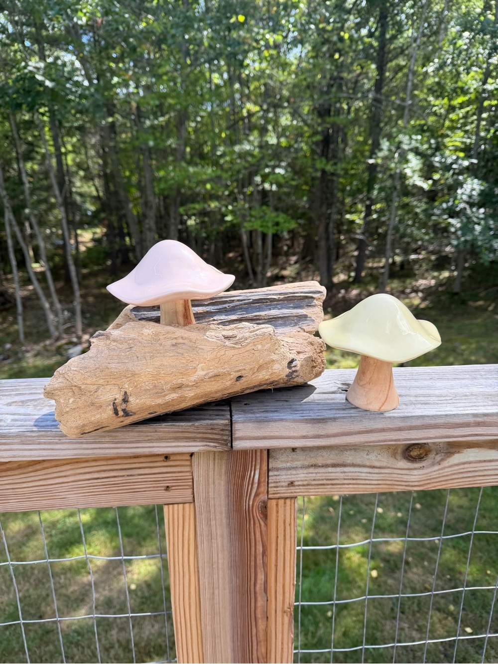 Woodlands Earthy Natural Decor | Log | 2 Large Mushrooms
